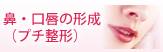 鼻・口唇の形成(プチ整形)