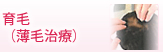 育毛(薄毛治療)