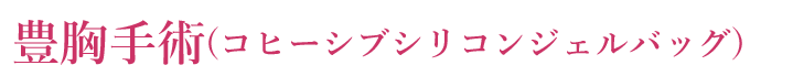 豊胸手術（バストアップ）