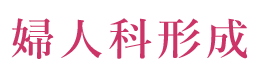 婦人科形成