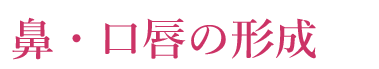 鼻・口唇の形成
