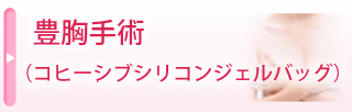 豊胸手術(コヒーシブシリコンジェルバッグ)