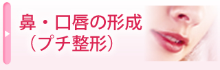 鼻・口唇の形成(プチ整形)