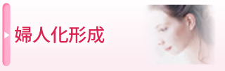 婦人科形成