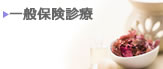一般保険診療